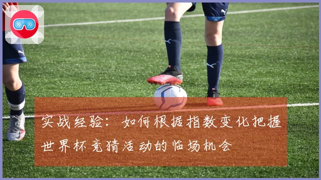 实战经验：如何根据指数变化把握世界杯竞猜活动的临场机会