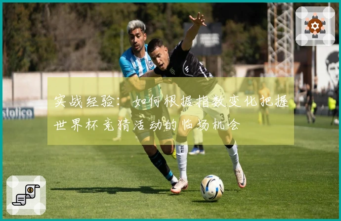 实战经验：如何根据指数变化把握世界杯竞猜活动的临场机会