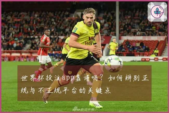 世界杯投注app靠谱吗？如何辨别正规与不正规平台的关键点